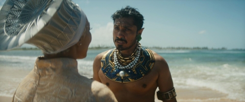 Black Panther Wakanda Forever 31