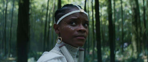 Black Panther Wakanda Forever 38