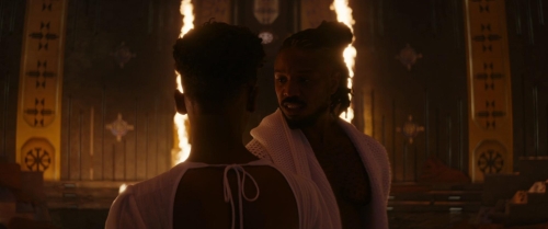 Black Panther Wakanda Forever 42