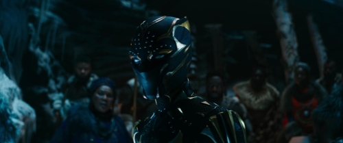 Black Panther Wakanda Forever 43