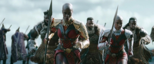 Black Panther Wakanda Forever 44