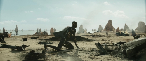 Black Panther Wakanda Forever 50