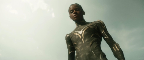Black Panther Wakanda Forever 58