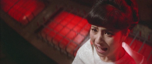 Black Tight Killers 10