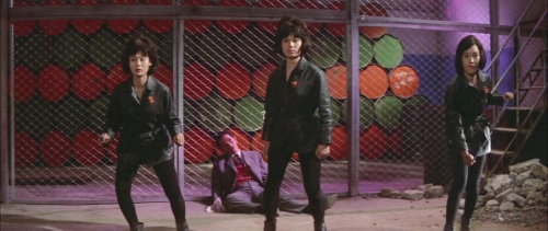 Black Tight Killers 12