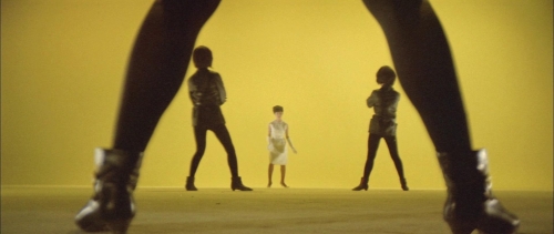 Black Tight Killers 23