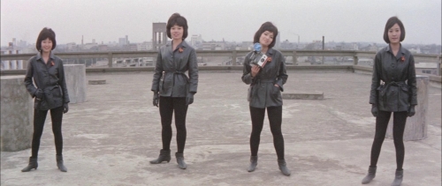 Black Tight Killers 38