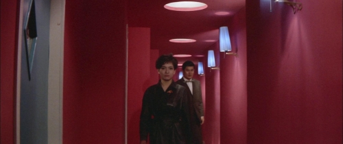 Black Tight Killers 43