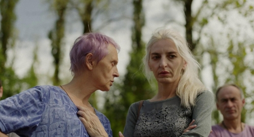 Blackbird Blackbird Blackberry 06