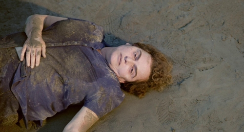 Blackbird Blackbird Blackberry 07