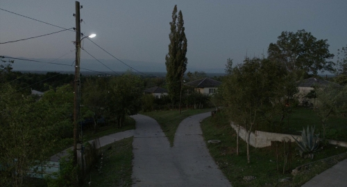 Blackbird Blackbird Blackberry 12