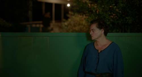 Blackbird Blackbird Blackberry 19