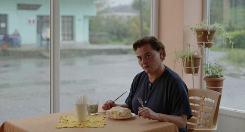 Blackbird Blackbird Blackberry 23