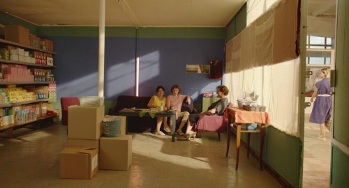 Blackbird Blackbird Blackberry 26