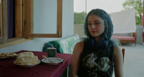 Blackbird Blackbird Blackberry 27