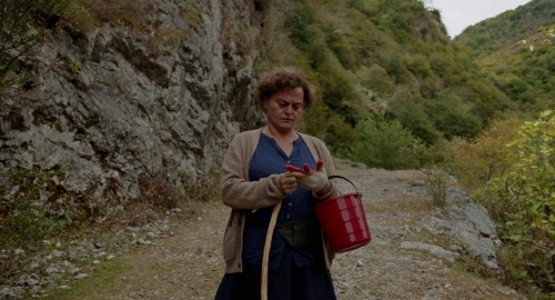 Blackbird Blackbird Blackberry 51