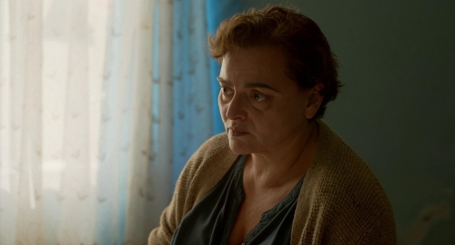 Blackbird Blackbird Blackberry 52