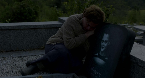 Blackbird Blackbird Blackberry 53