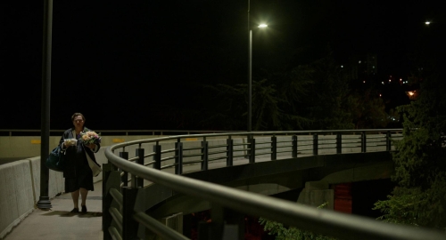 Blackbird Blackbird Blackberry 60