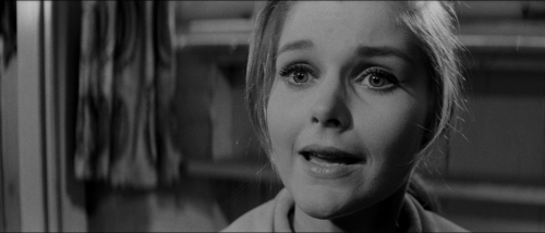 Bunny Lake is Missing 17