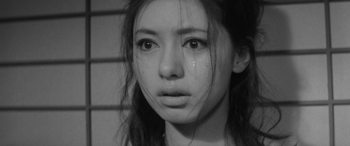 Carmen From Kawachi 15