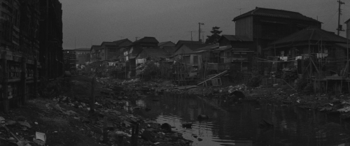 Carmen From Kawachi 44