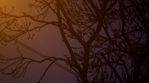 Carnage for Christmas 24