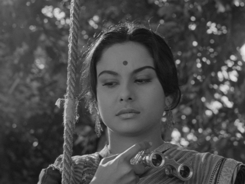 Charulata 23