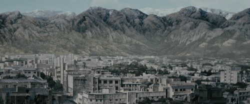 Chicken With Plums 01