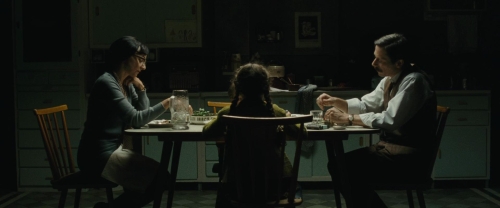 Chicken With Plums 04