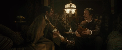 Chicken With Plums 08