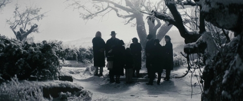 Chicken With Plums 10