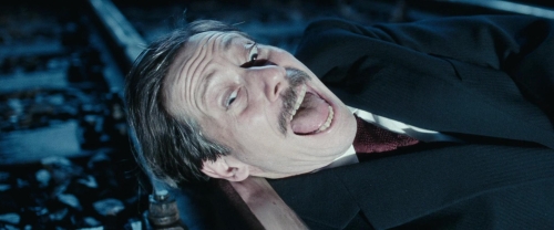 Chicken With Plums 11