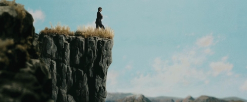 Chicken With Plums 12