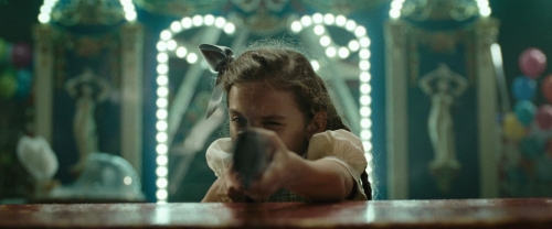 Chicken With Plums 16