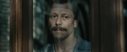 Chicken With Plums 19