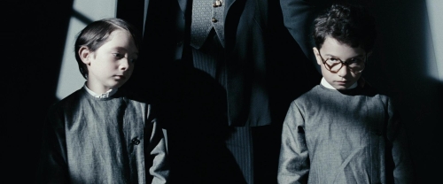 Chicken With Plums 21