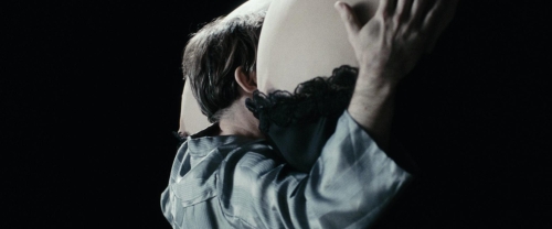 Chicken With Plums 25