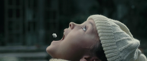 Chicken With Plums 26