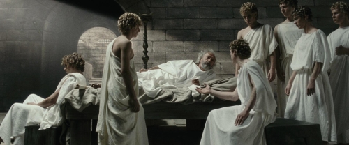 Chicken With Plums 28