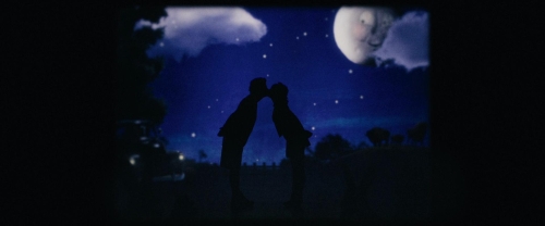 Chicken With Plums 31