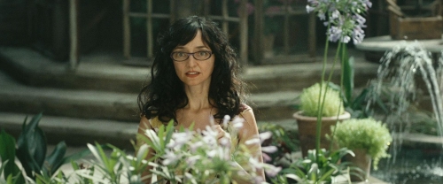 Chicken With Plums 36