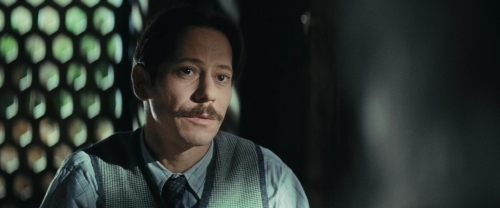 Chicken With Plums 37