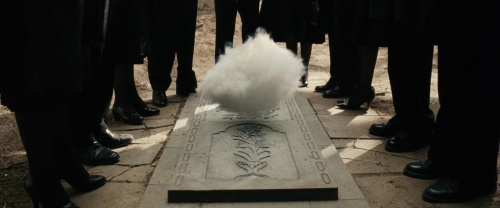 Chicken With Plums 41