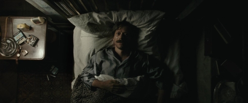 Chicken With Plums 43