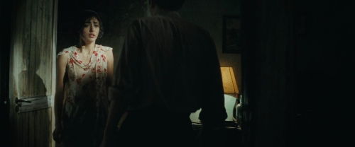 Chicken With Plums 57