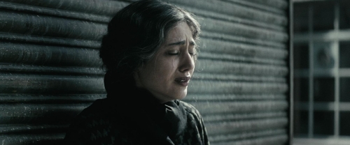 Chicken With Plums 64