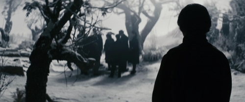 Chicken With Plums 65