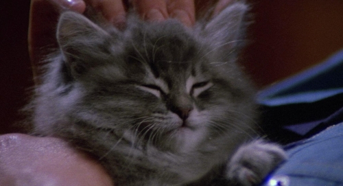 City of the Living Dead 12