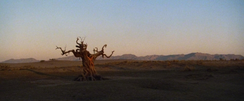 Conan The Barbarian 40